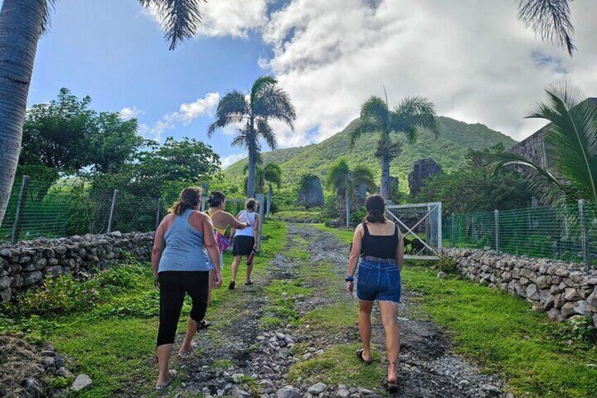 Nevis Island Road Trip