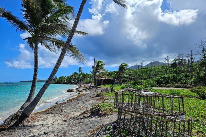 Nevis Island Road Trip