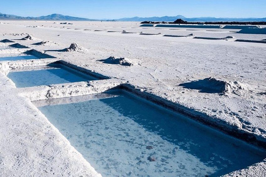 Full-Day Tour to Salinas Grandes and Purmamarca From Salta 2