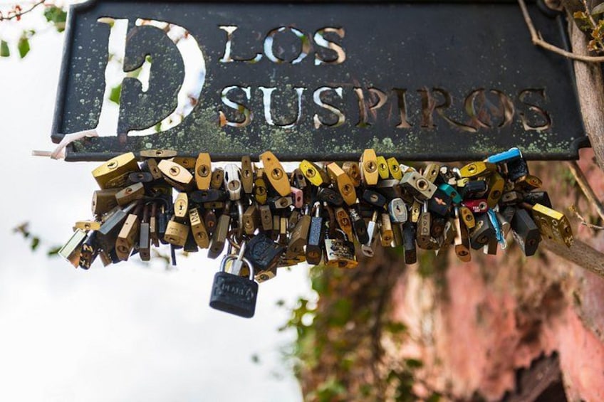 Unforgettable Day Tour in Colonia del Sacramento 3