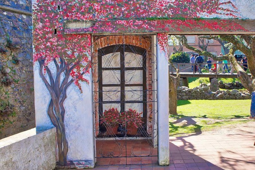 Unforgettable Day Tour in Colonia del Sacramento 4