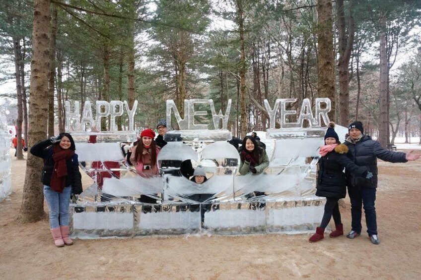 Nami Island Winter