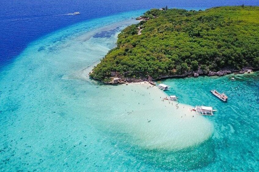Oslob Whale Shark & Tumalog Waterfalls & Sumilon Sandbar 4