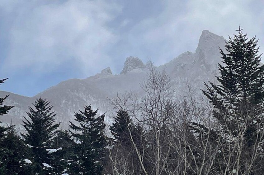 A mountainous landscape with snow-covered trees and rocky peaks. 5