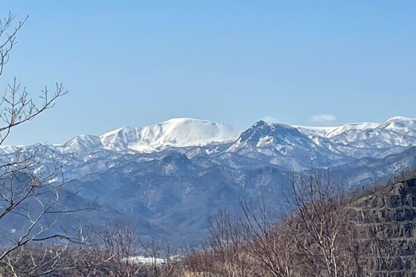 Snowshoeing Adventures in a Winter Wonderland - Sapporo