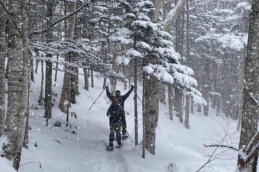 A person skiing in a snowy forest. 1