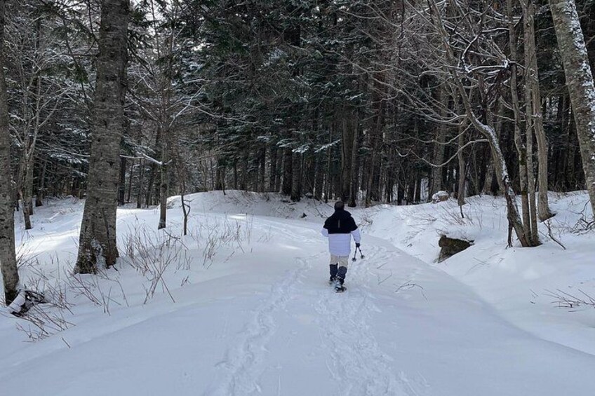 A person walking on a snow-covered path in a forest. 2