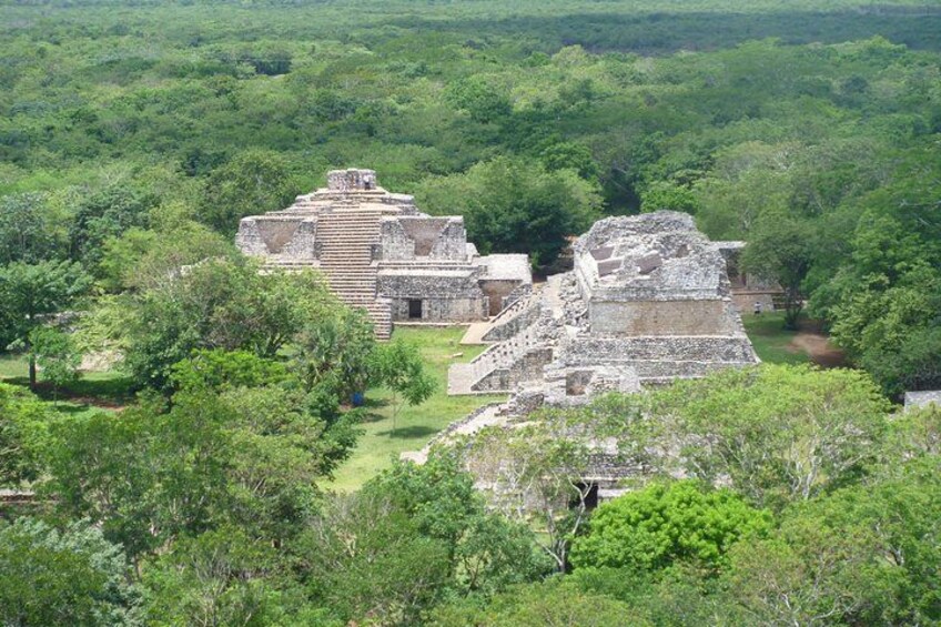Ruinas antiguas rodeadas de un bosque denso. 1