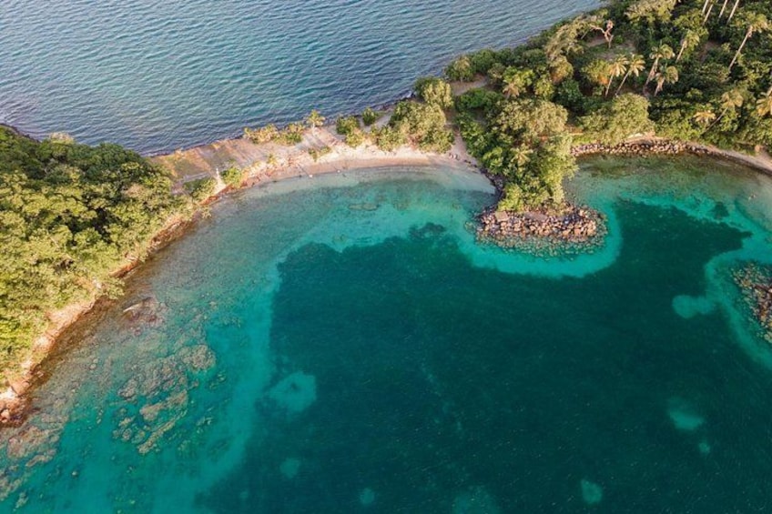 Scuba Diving Private Tour in Martinique 5