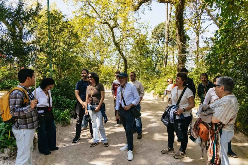 A group of people standing on a dirt path surrounded by trees in a park. 3