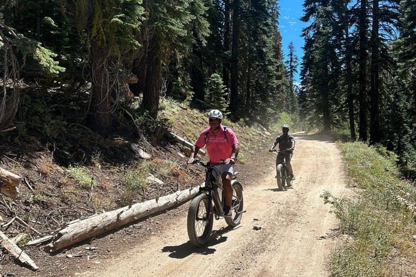 Two cyclists on a dirt trail surrounded by trees. 5