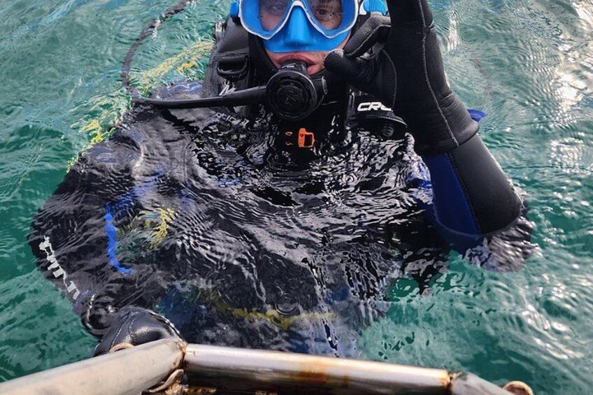 Private Diving Experience with Sea Lions in Punta Loma 3