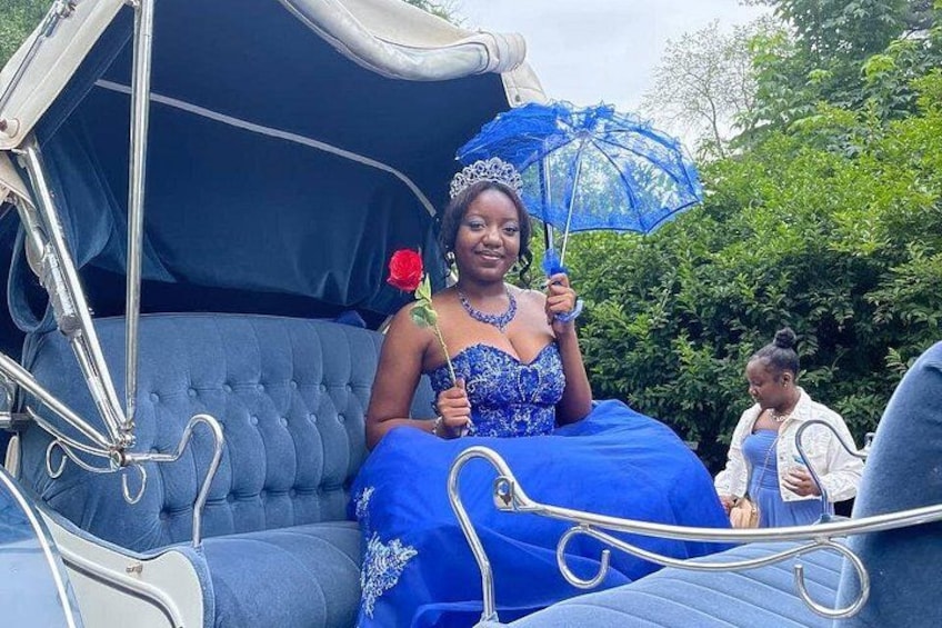 Une personne vêtue d’une robe bleue, assise dans une calèche et tenant un parapluie bleu. 4