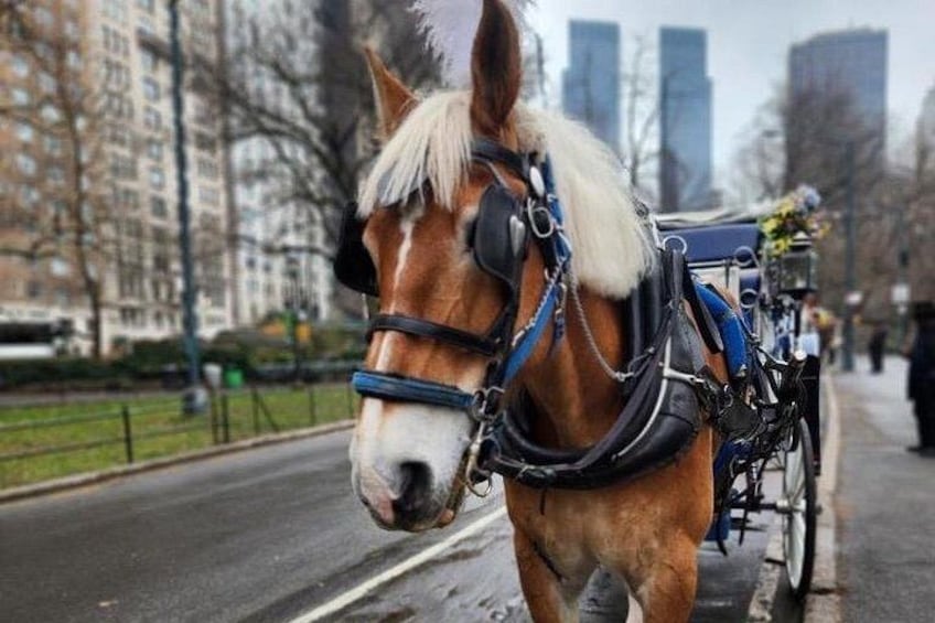 Une calèche tirée par des chevaux dans une rue de la ville, avec des bâtiments en arrière-plan. 1