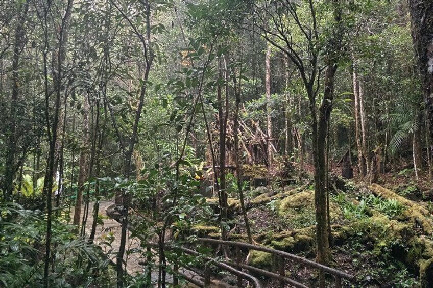 Kota Kinabalu to Kundasang Private Day Tour and Poring Hot SPA 4