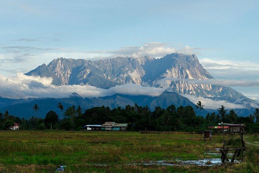 Kota Kinabalu to Kundasang Private Day Tour and Poring Hot SPA 1
