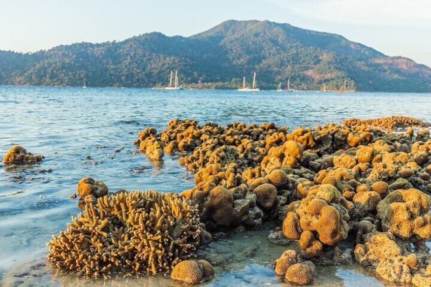 Private Tour Siao Liuchiu-Coral Island From Kaohsiung