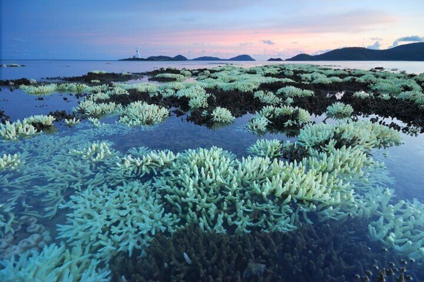 Private Tour Siao Liuchiu-Coral Island From Kaohsiung