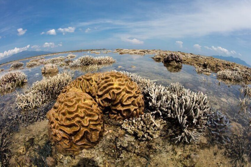 Private Tour Siao Liuchiu-Coral Island From Kaohsiung