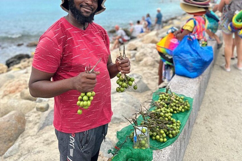 All In One Island Tour of St. Martin | St. Maarten 2