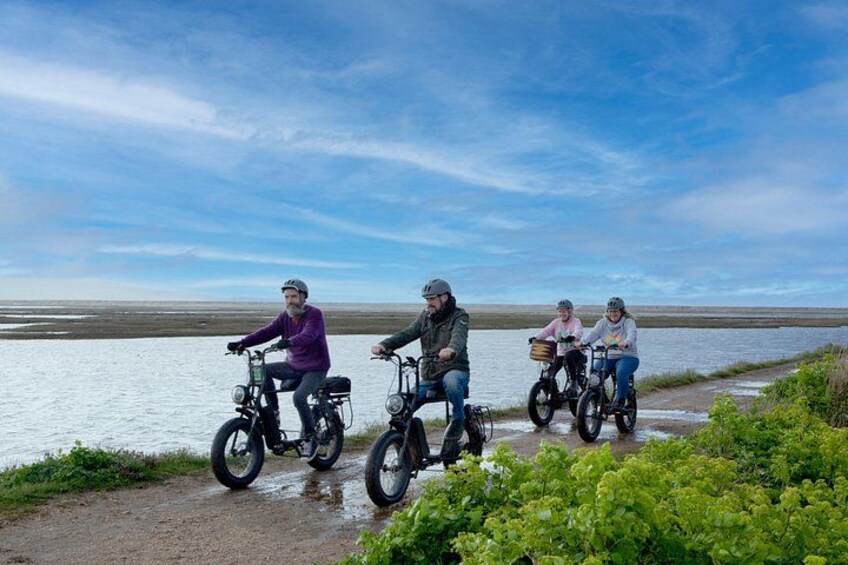 Four people riding bicycles along a path by a body of water. 5