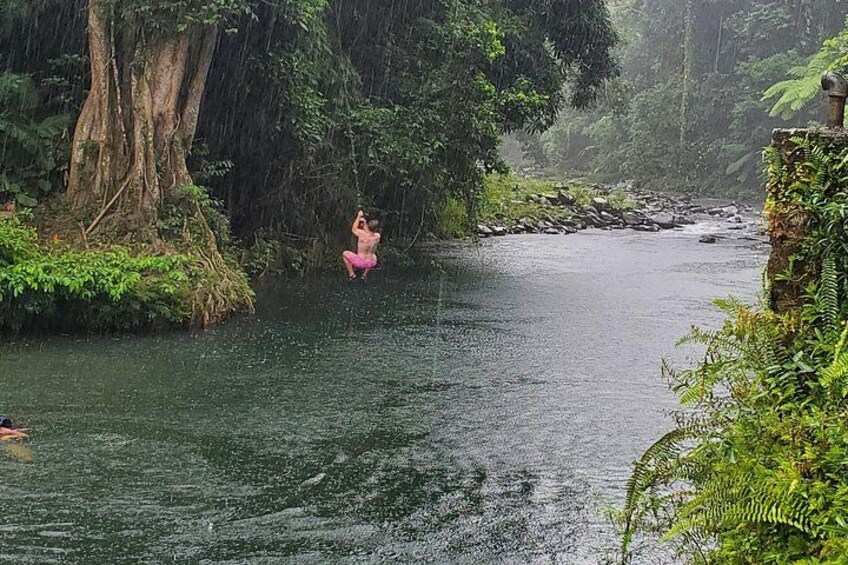 A river with a person swinging on a rope, surrounded by lush greenery and trees. 4