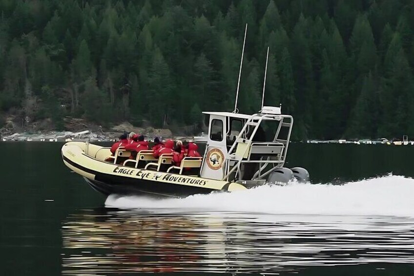 Eagle Eye Adventures Zodiac Boat 3