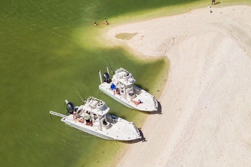 Private 4 Hour Shelling , Fishing and Eco Tour Marco Island FL 2