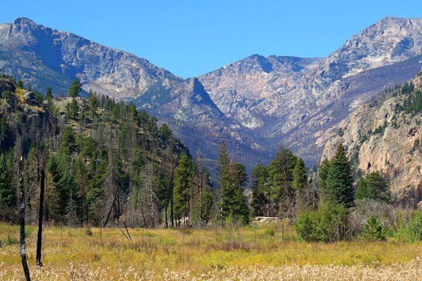 Un paisaje montañoso con bosques densos y un cielo despejado. 2