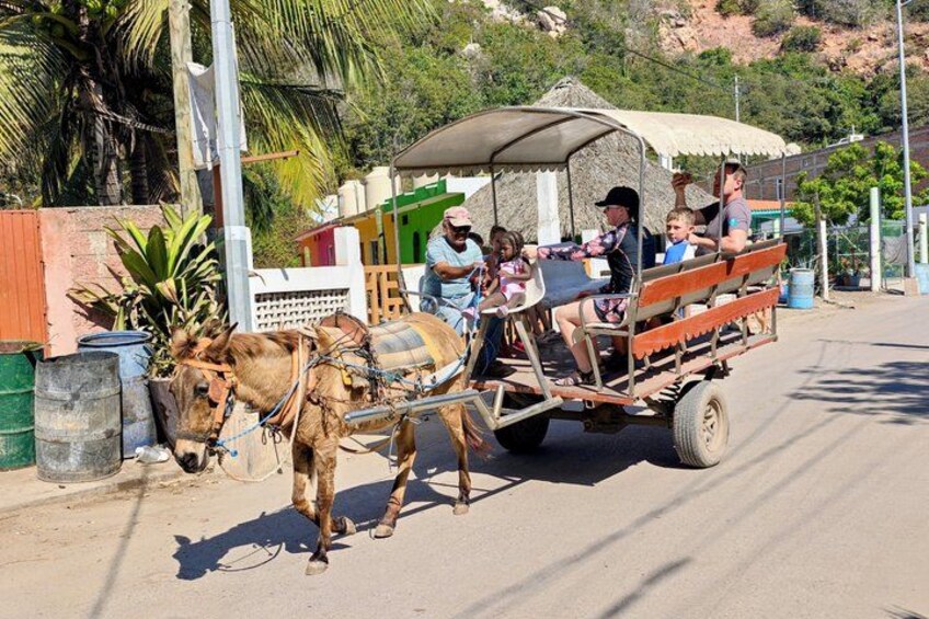 City Tour & Beach Club All Inclusive W Horse Ride & Water Sports 5