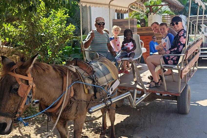 City Tour & Beach Club All Inclusive W Horse Ride & Water Sports 2