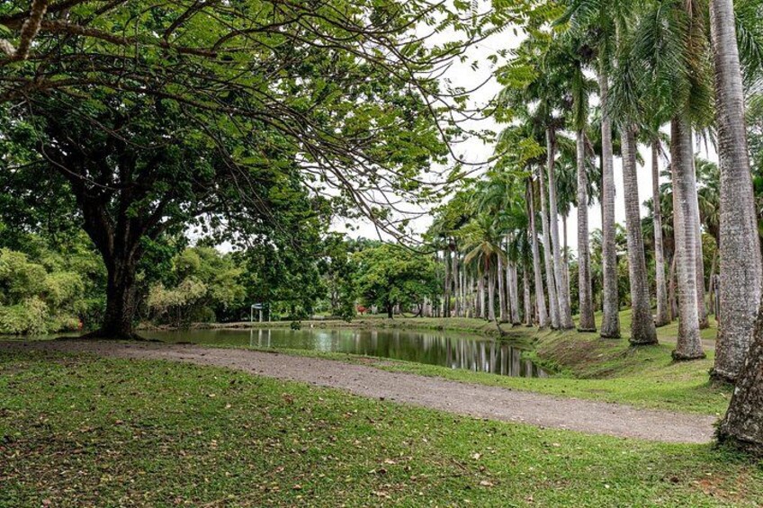 Half Day Private Custom Tour of Martinique 2