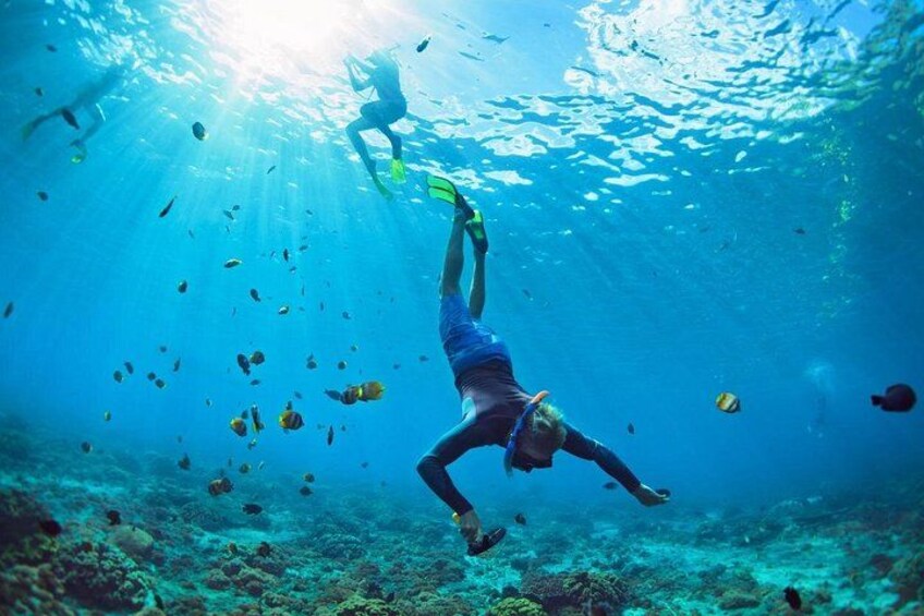 Snorkel Cruise Private Tour to Underwater Sculptures in Grenada 1