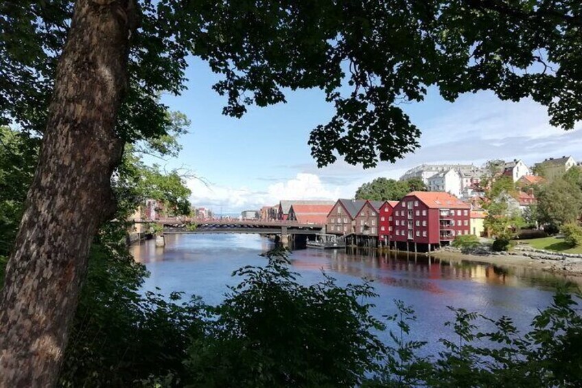 City Bus Tour in Trondheim, Norway