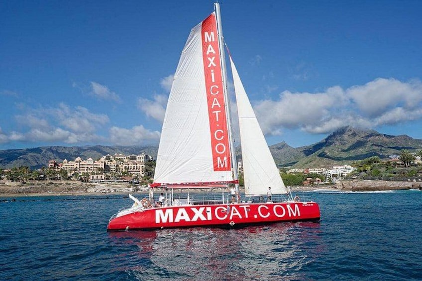 A red and white sailboat with 'MAXI CAT.COM' on its sail, sailing on calm waters with a mountainous coastline in the background. 1