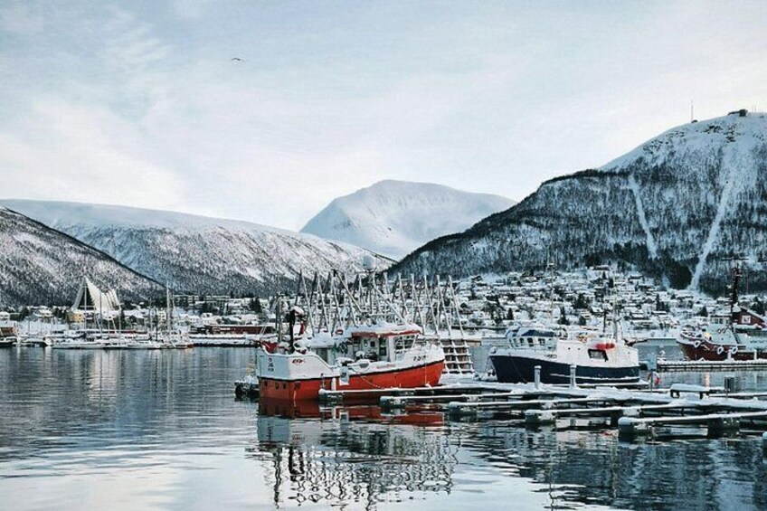 A harbor with boats, a small town, and snow-covered mountains in the background. 5