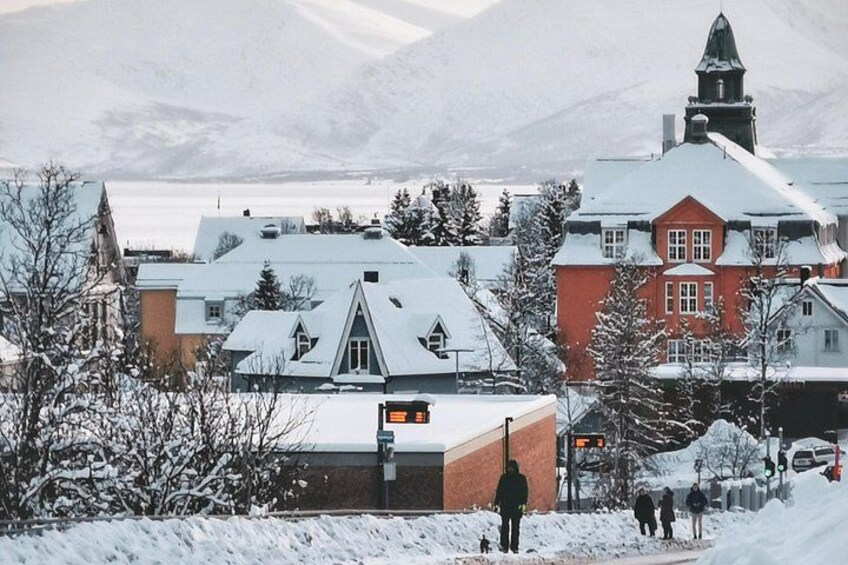 A snowy village with buildings, a church, and a mountain in the background. 3