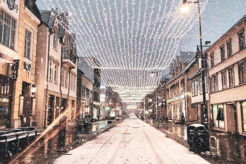 A street with buildings on either side, covered by a canopy of lights. 2
