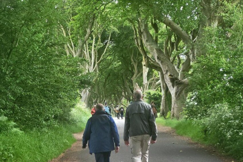 Private Luxury Giant’s Causeway Tour from Belfast by Mercedes 3