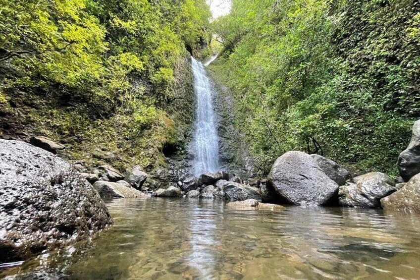 Waterfall Hike in Hawaii