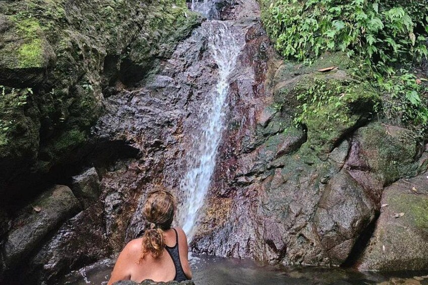 Rainforest Waterfall Hike with Rastafarian Nature Guide 3
