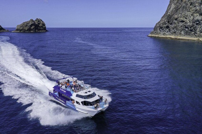 The Original Full day Bay of Islands Cruise with Dolphins 1