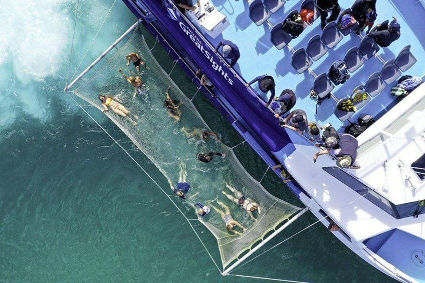The Original Full day Bay of Islands Cruise with Dolphins 3