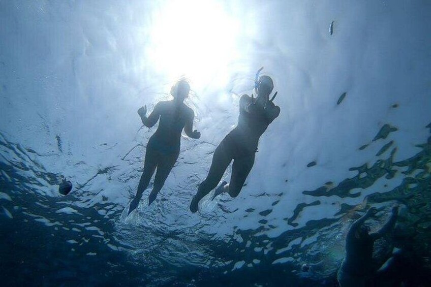 Two people scuba diving underwater with sunlight filtering through the water. 5