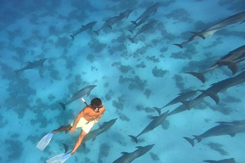 A person snorkeling among a school of fish in clear blue water. 2