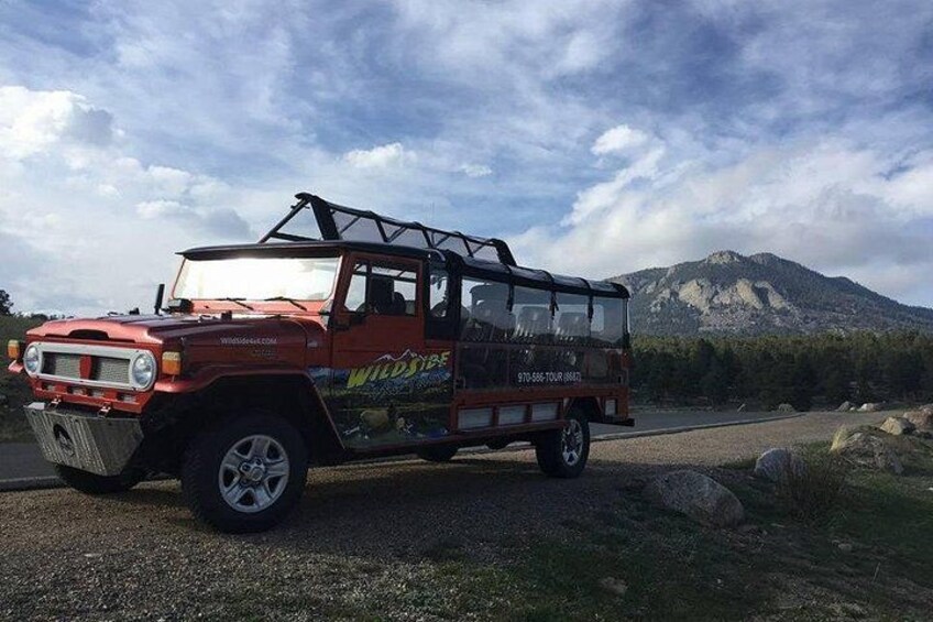 Sunset Wildlife Tour (Wildside 4x4 Tours) 1