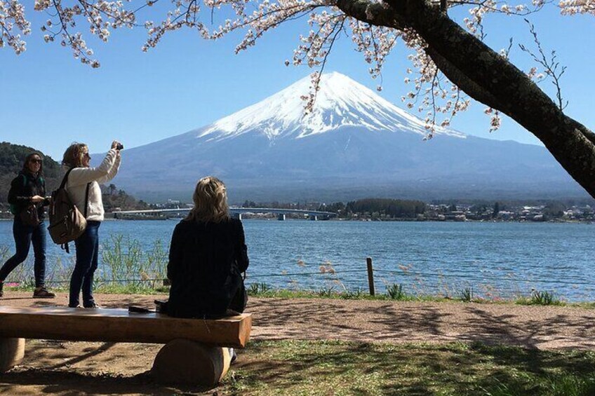 Private Guided Sightseeing Full Day Tour In Mt. Fuji And Hakone 