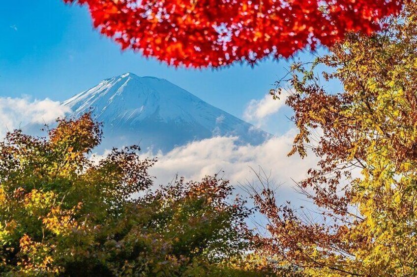 Private Guided Sightseeing Full Day Tour In Mt. Fuji And Hakone 