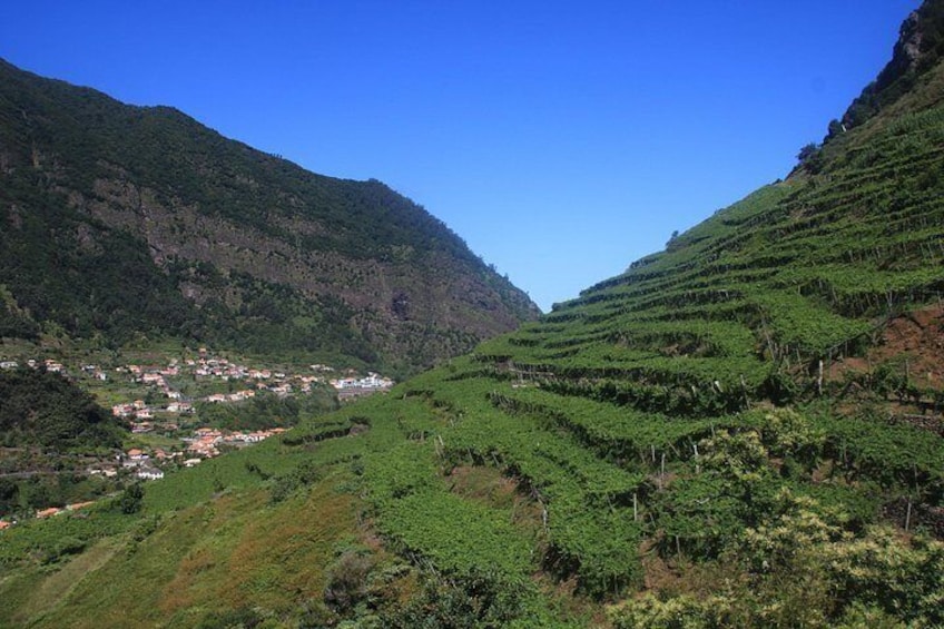 Enchanted Vineyards, Wine 4x4 Tour and Sea Cliff Cabo Girão 2