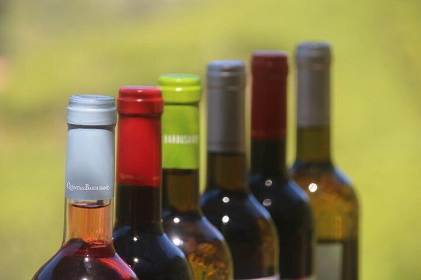 Enchanted Vineyards, Wine 4x4 Tour and Sea Cliff Cabo Girão 4